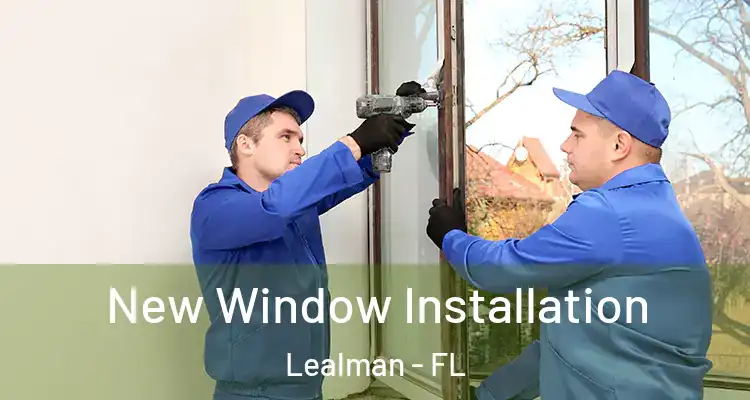  New Window Installation Lealman - FL